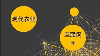 農(nóng)業(yè)互聯(lián)網(wǎng)掘金時代，數(shù)據(jù)服務(wù)商扮演“賣水人”角色